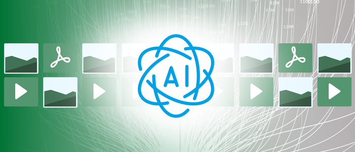 DAM KI