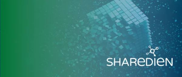 Sharedien Release 3 19
