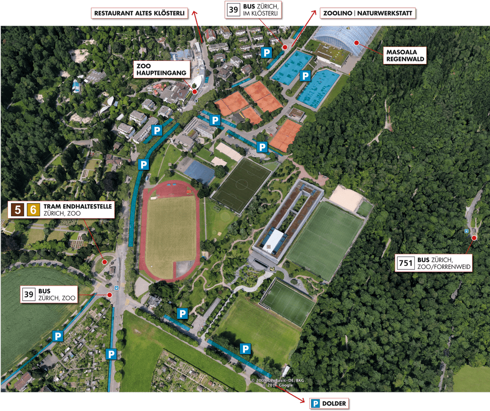 Anreiseplan zoozuerich
