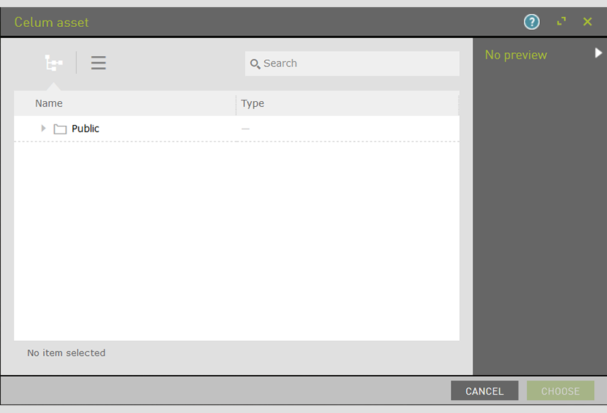 CELUM DAM Content App in Magnolia CMS