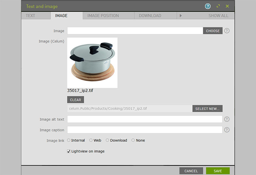 Embed the selected asset in the Magnolia CMS Page