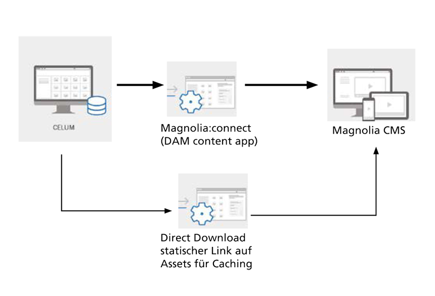 Scheme Magnolia Connect