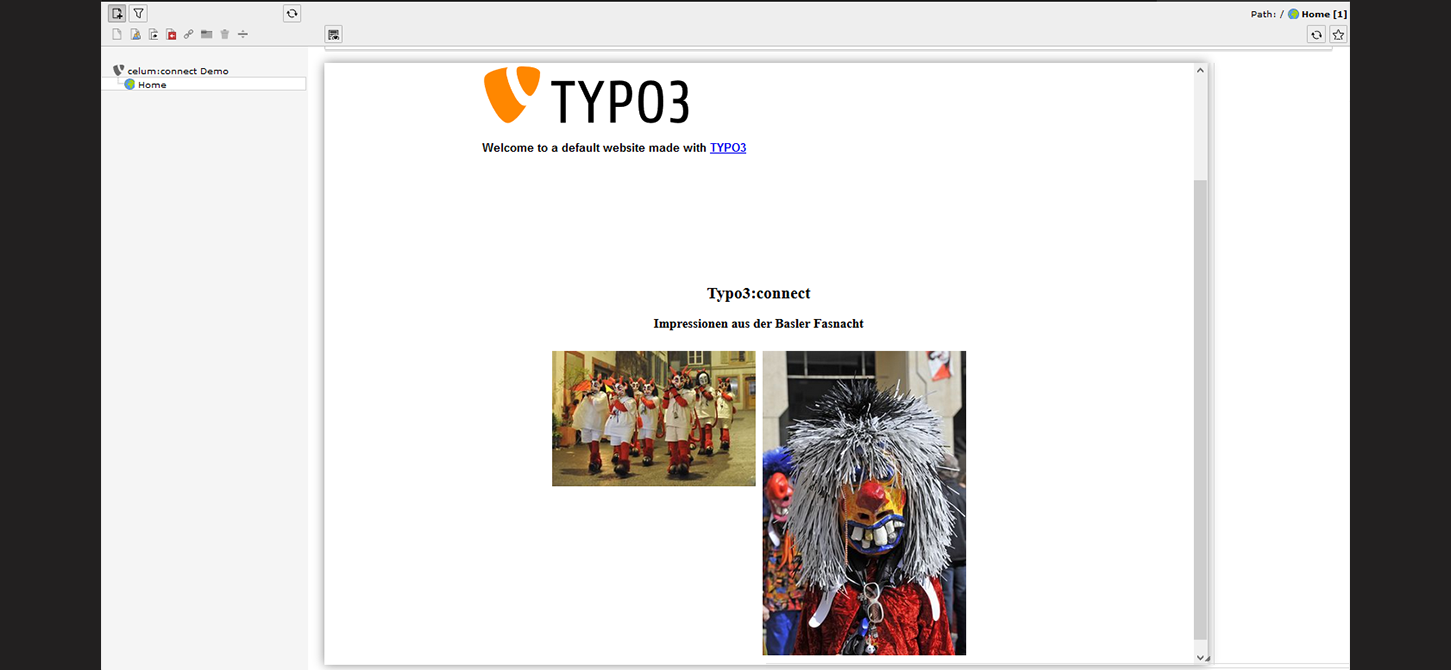 Typo3: Published article