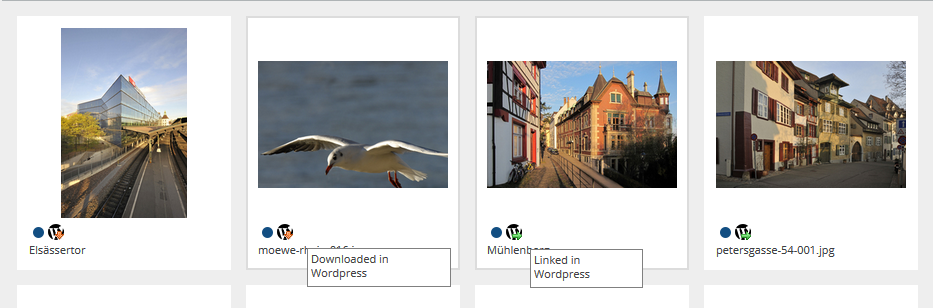CELUM DAM: Downloaded or linked assets of WordPress