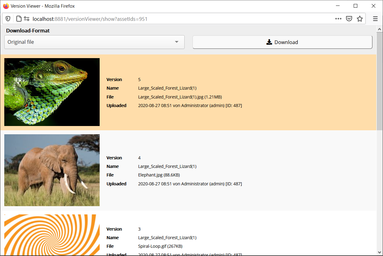 Screenshot Version Viewer