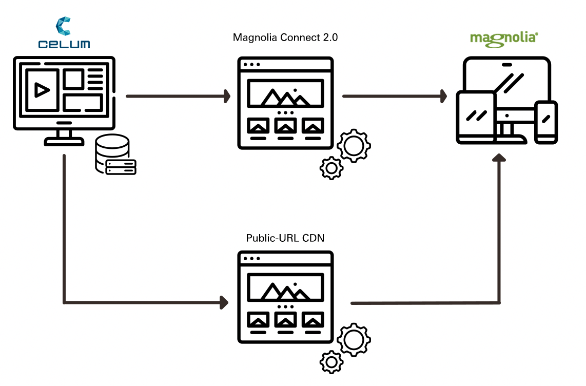 Magnolia connect 2 0 schema