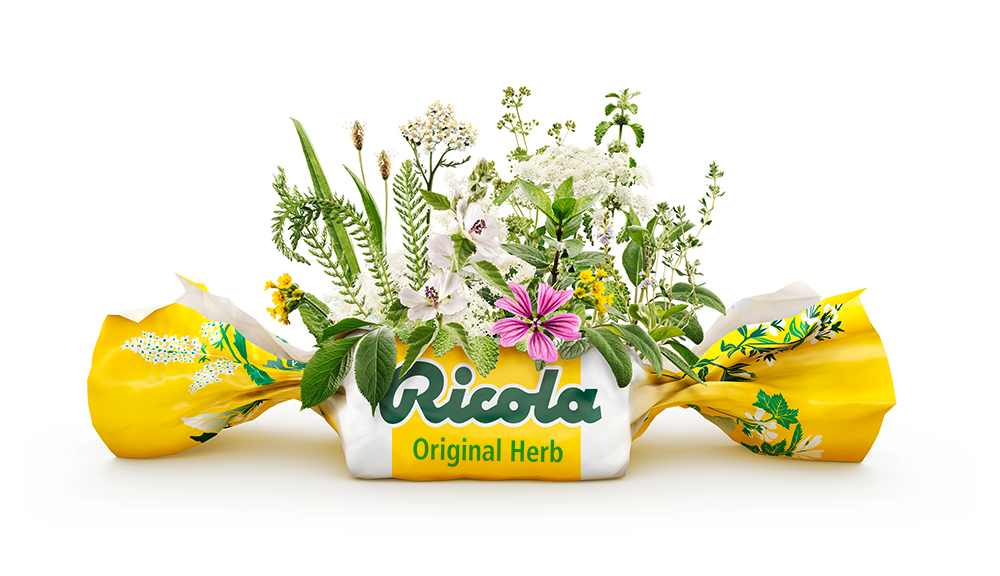 Ricola case study - brix - brix - Basel/Allschwil