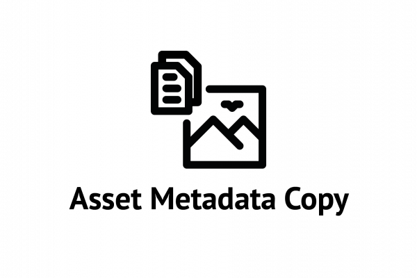 Asset Metadata Copy